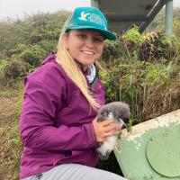 Cece with Newell’s Shearwater chick